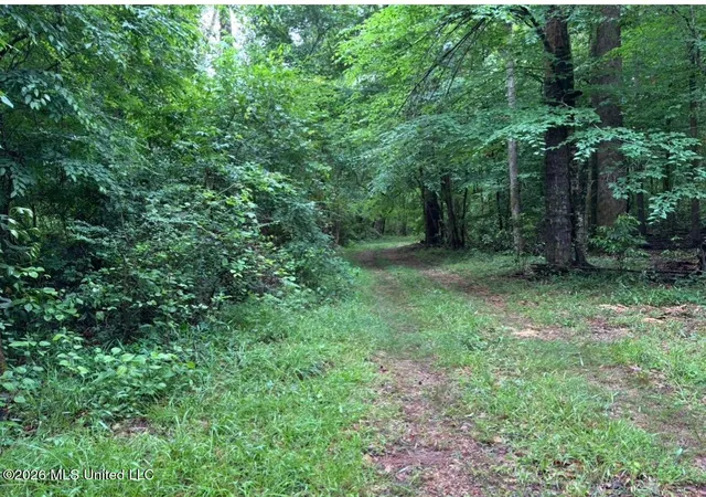 Photo 48 of Land for sale at Xxxx Hamp Lea, Magnolia, MS 39652 | MLS# 4159402 | Listing updated on 2026-08-17