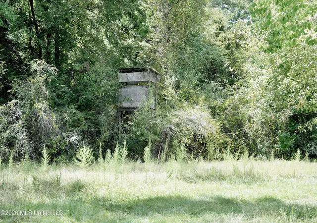 Photo 3 of Land for sale at Xxxx Hamp Lea, Magnolia, MS 39652 | MLS# 4159402 | Listing updated on 2026-09-17