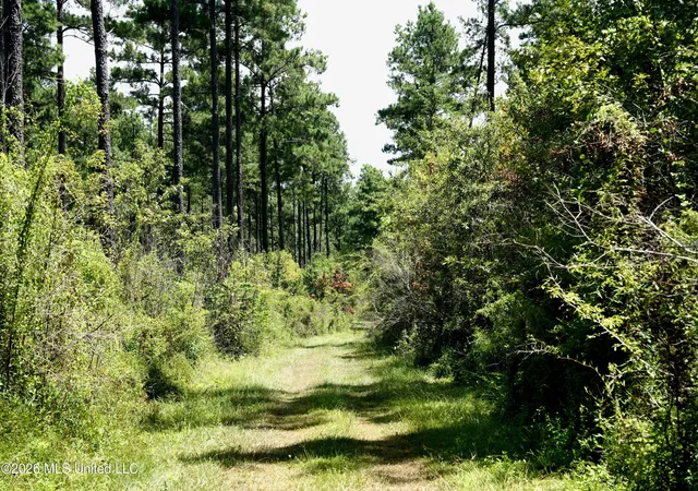 Photo 4 of Land for sale at Xxxx Hamp Lea, Magnolia, MS 39652 | MLS# 4159402 | Listing updated on 2026-09-17