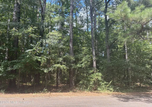 Photo 1 of Land for sale at 0 Lexington Ln, Mc Comb, MS 39648 | MLS# 4159546 | Listing updated on 2026-08-18