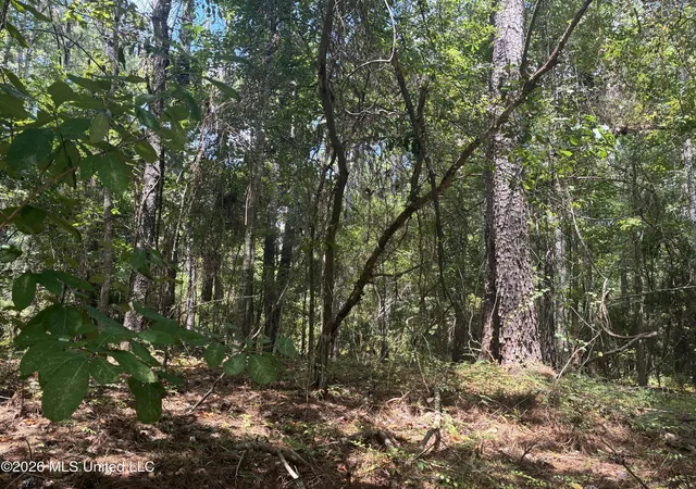 Photo 2 of Land for sale at 0 Lexington Ln, Mc Comb, MS 39648 | MLS# 4159546 | Listing updated on 2026-08-18