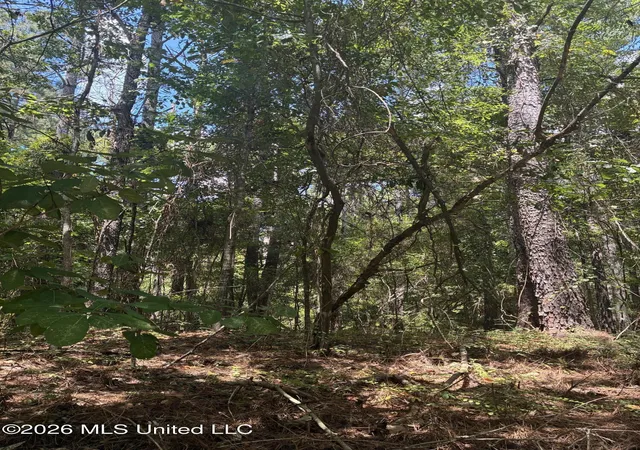 Photo 3 of Land for sale at 0 Lexington Ln, Mc Comb, MS 39648 | MLS# 4159546 | Listing updated on 2026-08-18