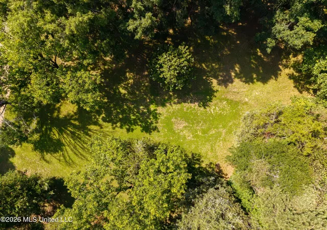 1st image of Anding Oil City Rd, Bentonia, MS 39040 | MLS# 4159412