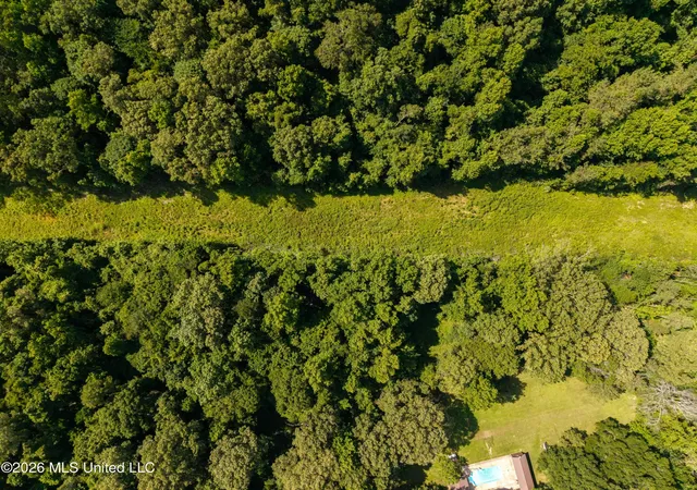 2nd image of Anding Oil City Rd, Bentonia, MS 39040 | MLS# 4159412