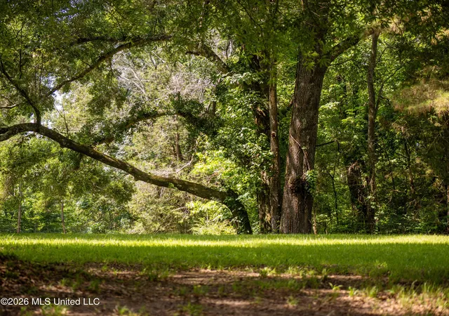 4th image of Anding Oil City Rd, Bentonia, MS 39040 | MLS# 4159412