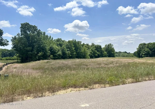 Photo 1 of Sale Pending at 108 Louise Cvs, Byhalia, MS 38611 | MLS# 4159409 | Listing updated on 2026-08-17