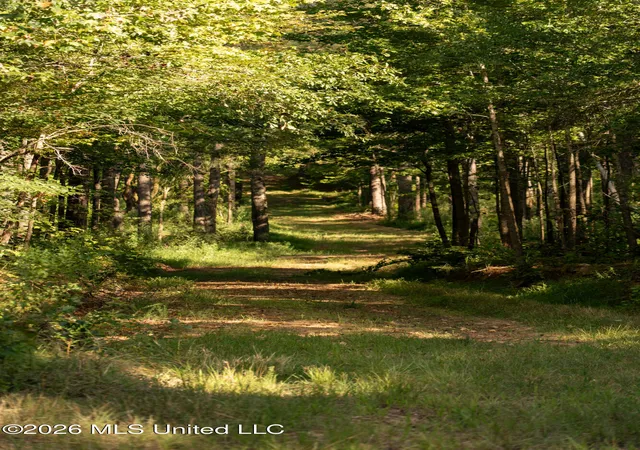 3rd image of Hwy 433 S, Benton, MS 39039 | MLS# 4159843