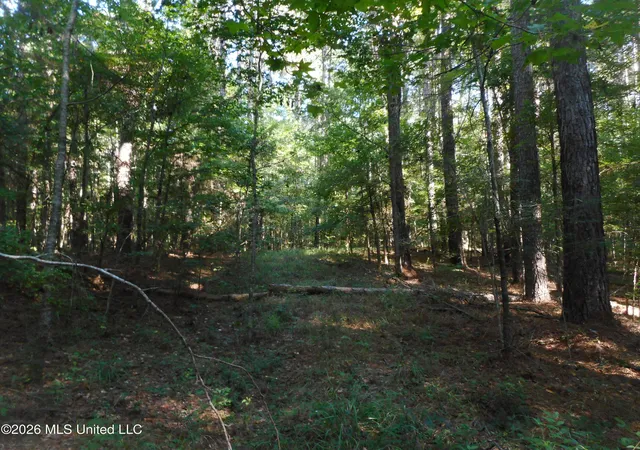 Photo 3 of Land for sale at Mississippi 15, Philadelphia, MS 39350 | MLS# 4159446 | Listing updated on 2026-08-17
