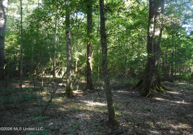 Photo 3 of Land for sale at Mississippi 15, Philadelphia, MS 39350 | MLS# 4159446 | Listing updated on 2026-08-17