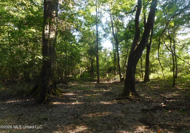 Photo 4 of Land for sale at Mississippi 15, Philadelphia, MS 39350 | MLS# 4159446 | Listing updated on 2026-08-17