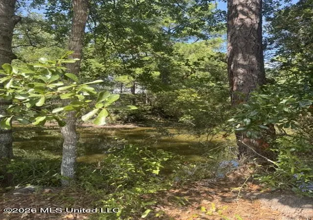 Photo 2 of Land for sale at 11044 Lake Dr, Bay Saint Louis, MS 39520 | MLS# 4159458 | Listing updated on 2026-08-17