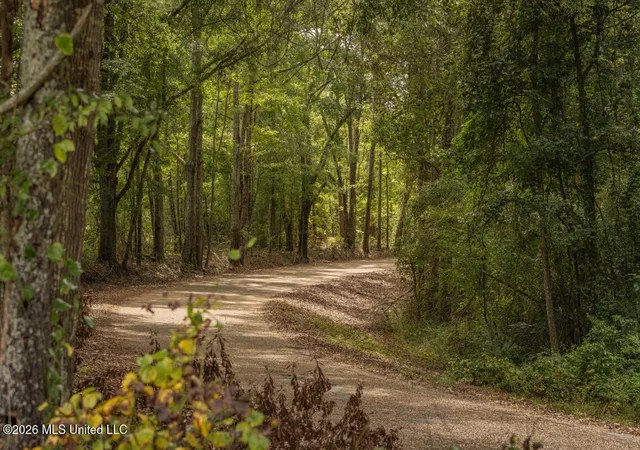 Photo 39 of Land for sale at Craft Rd, Magee, MS 39111 | MLS# 4159471 | Listing updated on 2026-08-17