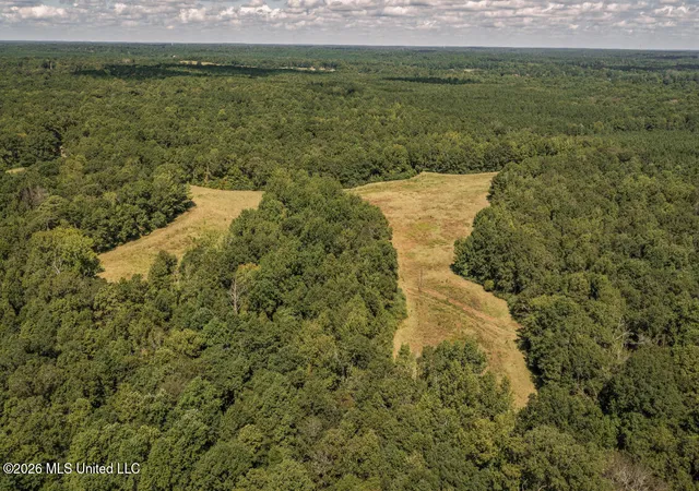 Photo 2 of Land for sale at Craft Rd, Magee, MS 39111 | MLS# 4159471 | Listing updated on 2026-08-17