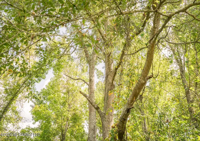 Photo 3 of Land for sale at Craft Rd, Magee, MS 39111 | MLS# 4159471 | Listing updated on 2026-08-17