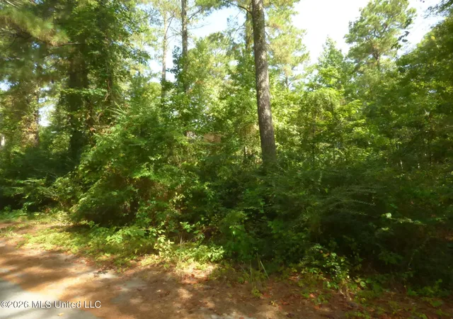 Photo 2 of Land for sale at Cedar Dr, Monticello, MS 39654 | MLS# 4159488 | Listing updated on 2026-08-18