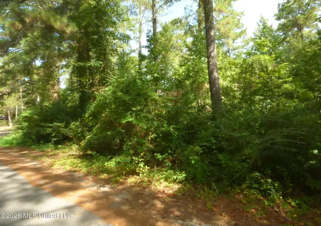 Photo 2 of Land for sale at Cedar Dr, Monticello, MS 39654 | MLS# 4159488 | Listing updated on 2026-08-18