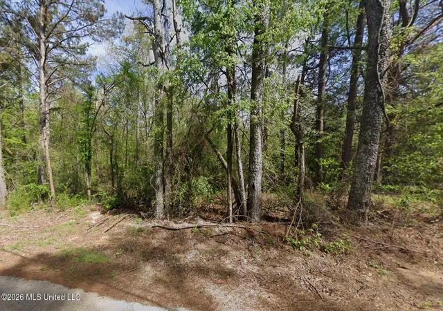 Photo 2 of Land for sale at 5 Co Rd 521, Como, MS 38619 | MLS# 4159480 | Listing updated on 2026-08-17