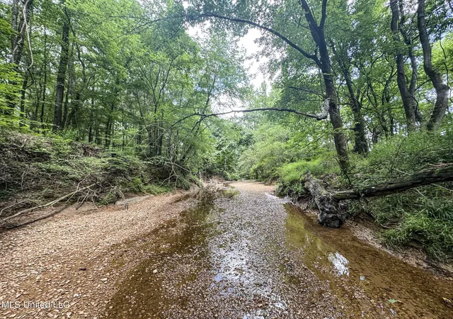 Photo 1 of Land for sale at Pine Lodge Rd, Batesville, MS 38606 | MLS# 4159529 | Listing updated on 2026-08-18