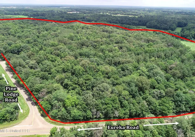 Photo 3 of Land for sale at Pine Lodge Rd, Batesville, MS 38606 | MLS# 4159529 | Listing updated on 2026-08-18