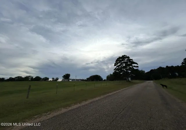 Photo 19 of Land for sale at 8066 Old Hwy 24, Centreville, MS 39631 | MLS# 4159532 | Listing updated on 2026-08-18