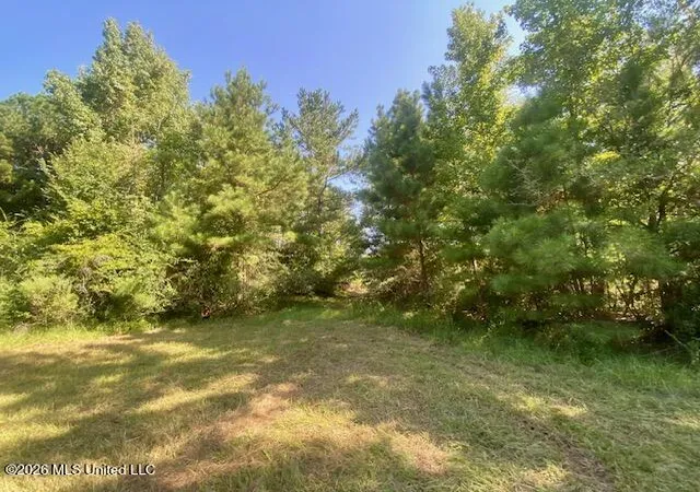 Photo 3 of Sale Pending at Chisholm Dr, Summit, MS 39666 | MLS# 4160035 | Listing updated on 2026-09-21