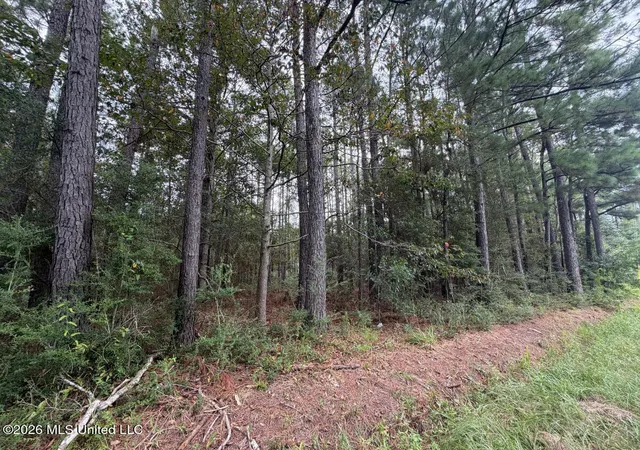 Photo 2 of Land for sale at W Ridley St, Bay Saint Louis, MS 39520 | MLS# 4159589 | Listing updated on 2026-08-18