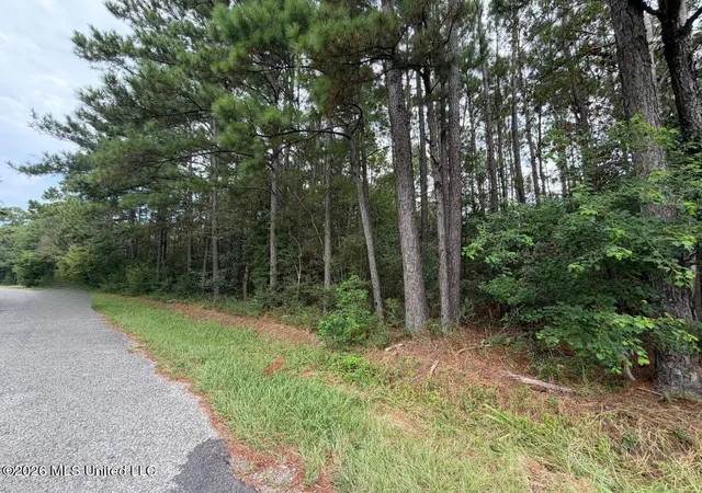 Photo 4 of Land for sale at W Ridley St, Bay Saint Louis, MS 39520 | MLS# 4159589 | Listing updated on 2026-08-18
