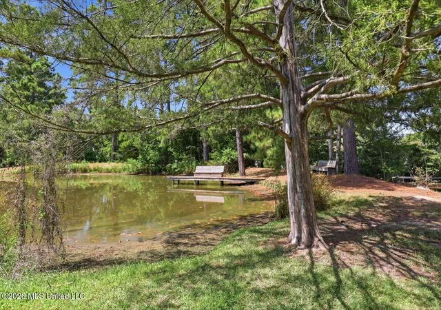 Photo 75 of Single family home for sale at 6430 Manship Rd, Brandon, MS 39047 | MLS# 4159665 | Listing updated on 2026-09-14