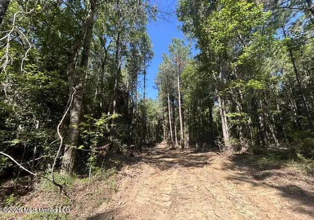 Photo 1 of Sale Pending at Chisholm Dr, Summit, MS 39666 | MLS# 4160217 | Listing updated on 2026-10-05