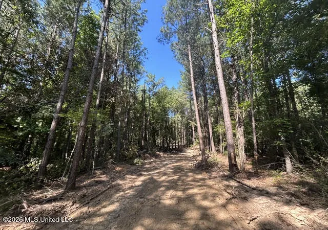 Photo 2 of Sale Pending at Chisholm Dr, Summit, MS 39666 | MLS# 4160217 | Listing updated on 2026-10-05