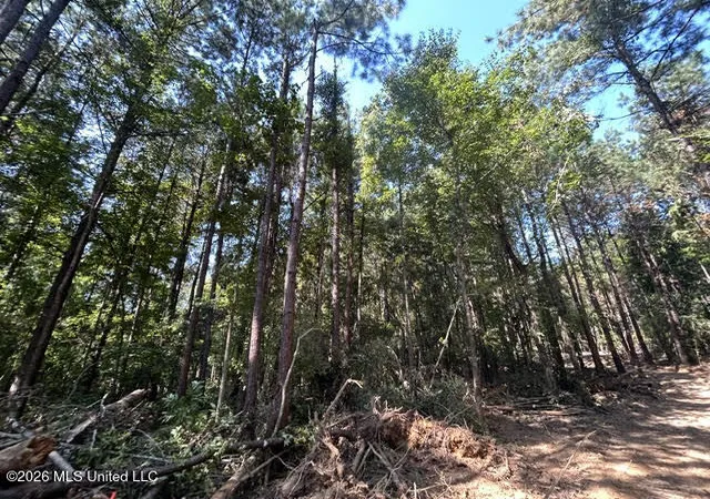 Photo 3 of Sale Pending at Chisholm Dr, Summit, MS 39666 | MLS# 4160217 | Listing updated on 2026-10-05