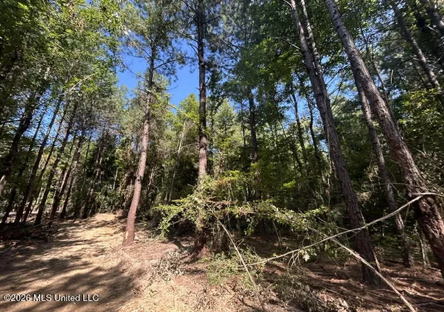 Photo 3 of Sale Pending at Chisholm Dr, Summit, MS 39666 | MLS# 4160217 | Listing updated on 2026-10-05