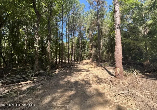 Photo 4 of Sale Pending at Chisholm Dr, Summit, MS 39666 | MLS# 4160217 | Listing updated on 2026-10-05