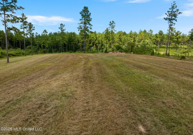 Photo 2 of Land for sale at 48 Clear Pines Dr, Sumrall, MS 39482 | MLS# 4159595 | Listing updated on 2026-08-18