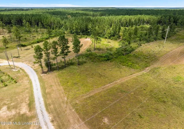 Photo 3 of Land for sale at 48 Clear Pines Dr, Sumrall, MS 39482 | MLS# 4159595 | Listing updated on 2026-08-18