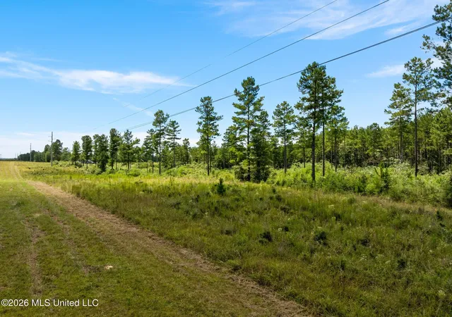 Photo 3 of Land for sale at 48 Clear Pines Dr, Sumrall, MS 39482 | MLS# 4159595 | Listing updated on 2026-08-18