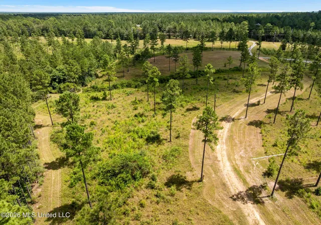 Photo 4 of Land for sale at 48 Clear Pines Dr, Sumrall, MS 39482 | MLS# 4159595 | Listing updated on 2026-08-18