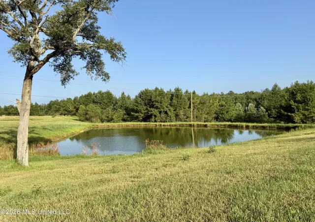 2nd image of 649 Acres Neely Avera Rd, Neely, MS 39461 | MLS# 4160003
