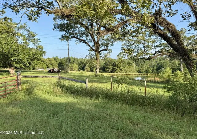 3rd image of 649 Acres Neely Avera Rd, Neely, MS 39461 | MLS# 4160003