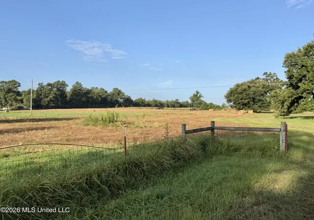 4th image of 649 Acres Neely Avera Rd, Neely, MS 39461 | MLS# 4160003