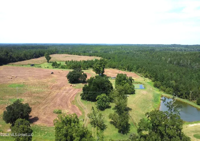 5th image of 649 Acres Neely Avera Rd, Neely, MS 39461 | MLS# 4160003