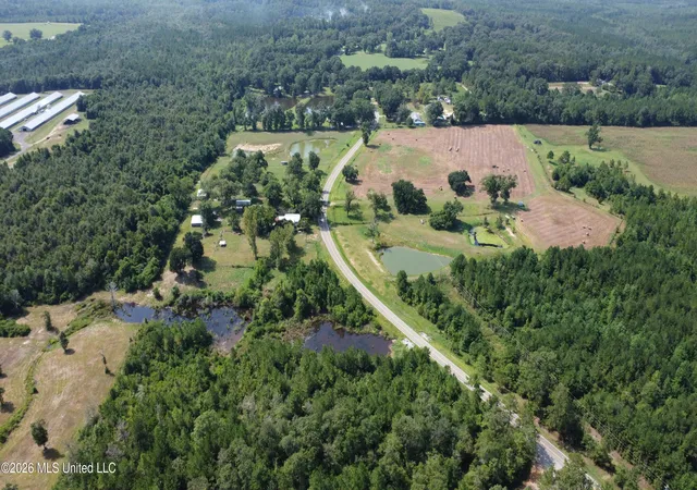 45th image of 8488+13ac Neely Avera Rd, Neely, MS 39461 | MLS# 4160007