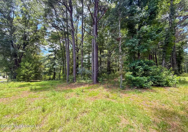 Photo 1 of Land for sale at Berthadale Rd, Mc Comb, MS 39648 | MLS# 4159625 | Listing updated on 2026-08-19