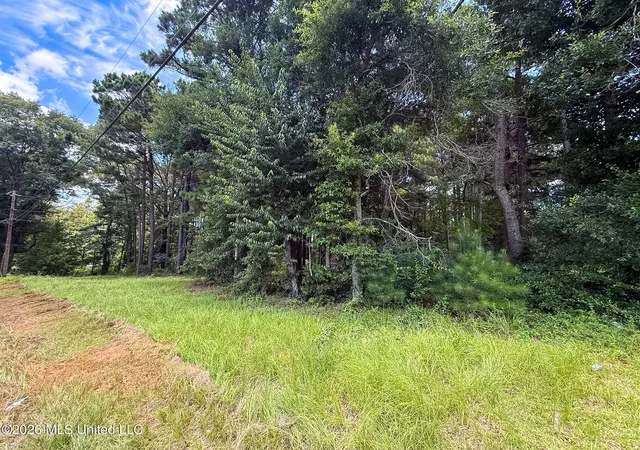 Photo 2 of Land for sale at Berthadale Rd, Mc Comb, MS 39648 | MLS# 4159625 | Listing updated on 2026-08-19