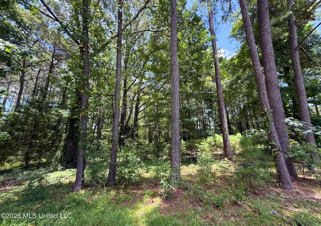 Photo 3 of Land for sale at Berthadale Rd, Mc Comb, MS 39648 | MLS# 4159625 | Listing updated on 2026-08-19