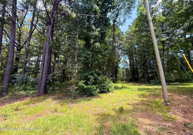 Photo 3 of Land for sale at Berthadale Rd, Mc Comb, MS 39648 | MLS# 4159625 | Listing updated on 2026-08-19
