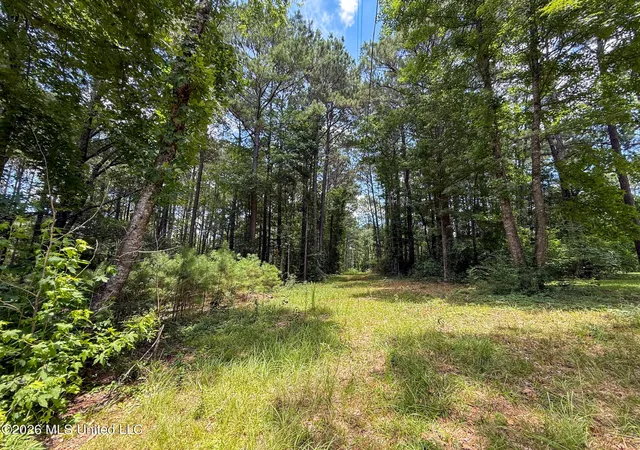 Photo 4 of Land for sale at Berthadale Rd, Mc Comb, MS 39648 | MLS# 4159625 | Listing updated on 2026-08-19