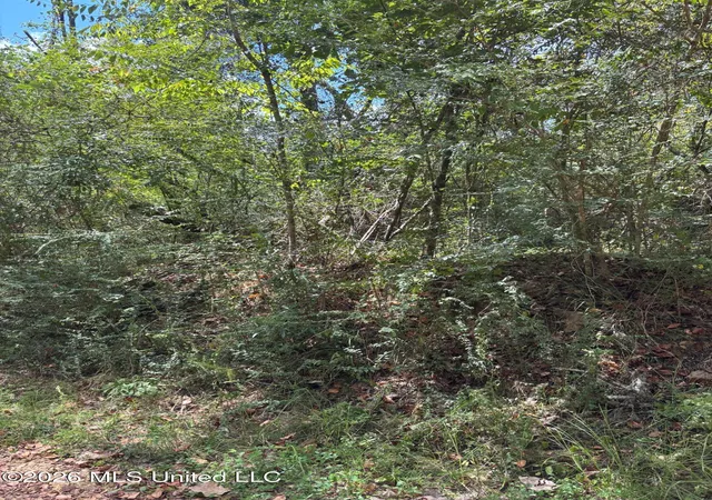 Photo 1 of Land for sale at Ms 556, Meadville, MS 39653 | MLS# 4159629 | Listing updated on 2026-08-19