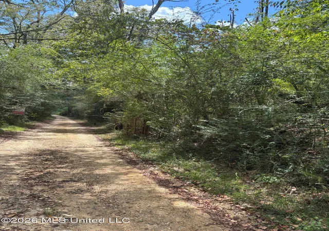 Photo 2 of Land for sale at Ms 556, Meadville, MS 39653 | MLS# 4159629 | Listing updated on 2026-08-19