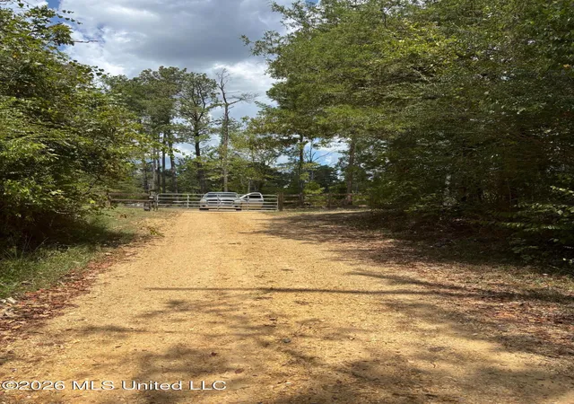 Photo 3 of Land for sale at Ms 556, Meadville, MS 39653 | MLS# 4159629 | Listing updated on 2026-08-19